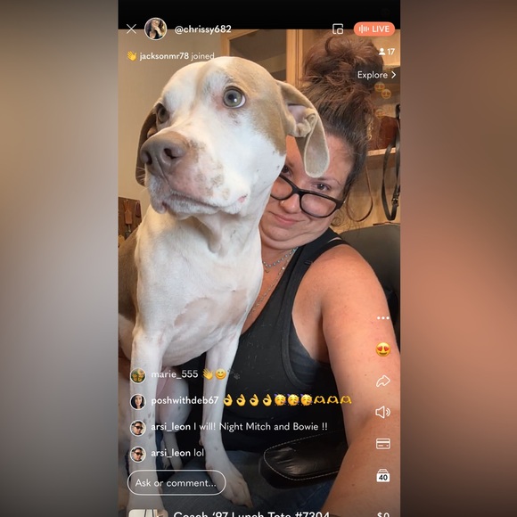 Bowie’s Treat Jar +Free Shipping!! - Picture 7 of 15